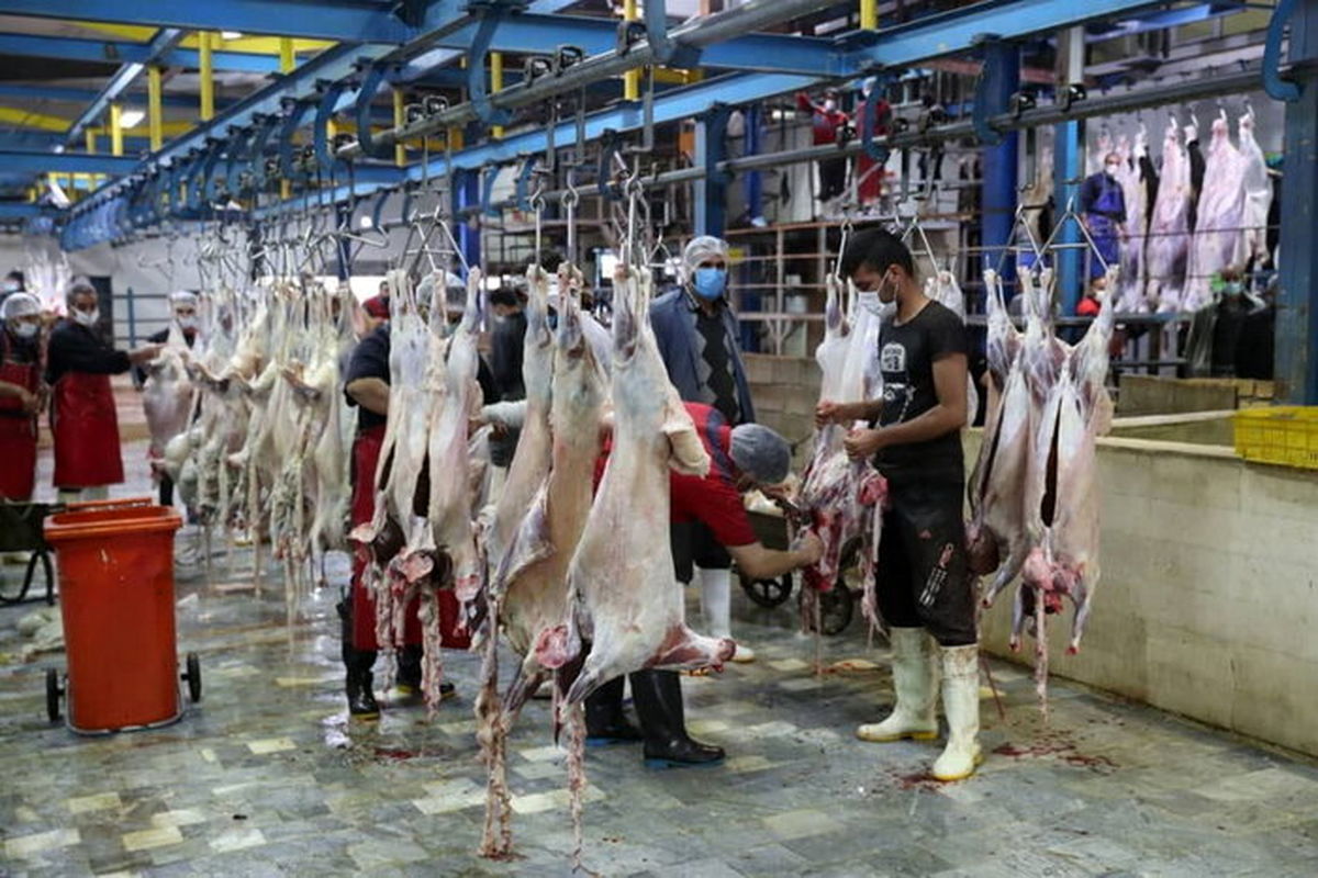 کشتارگاه دام 