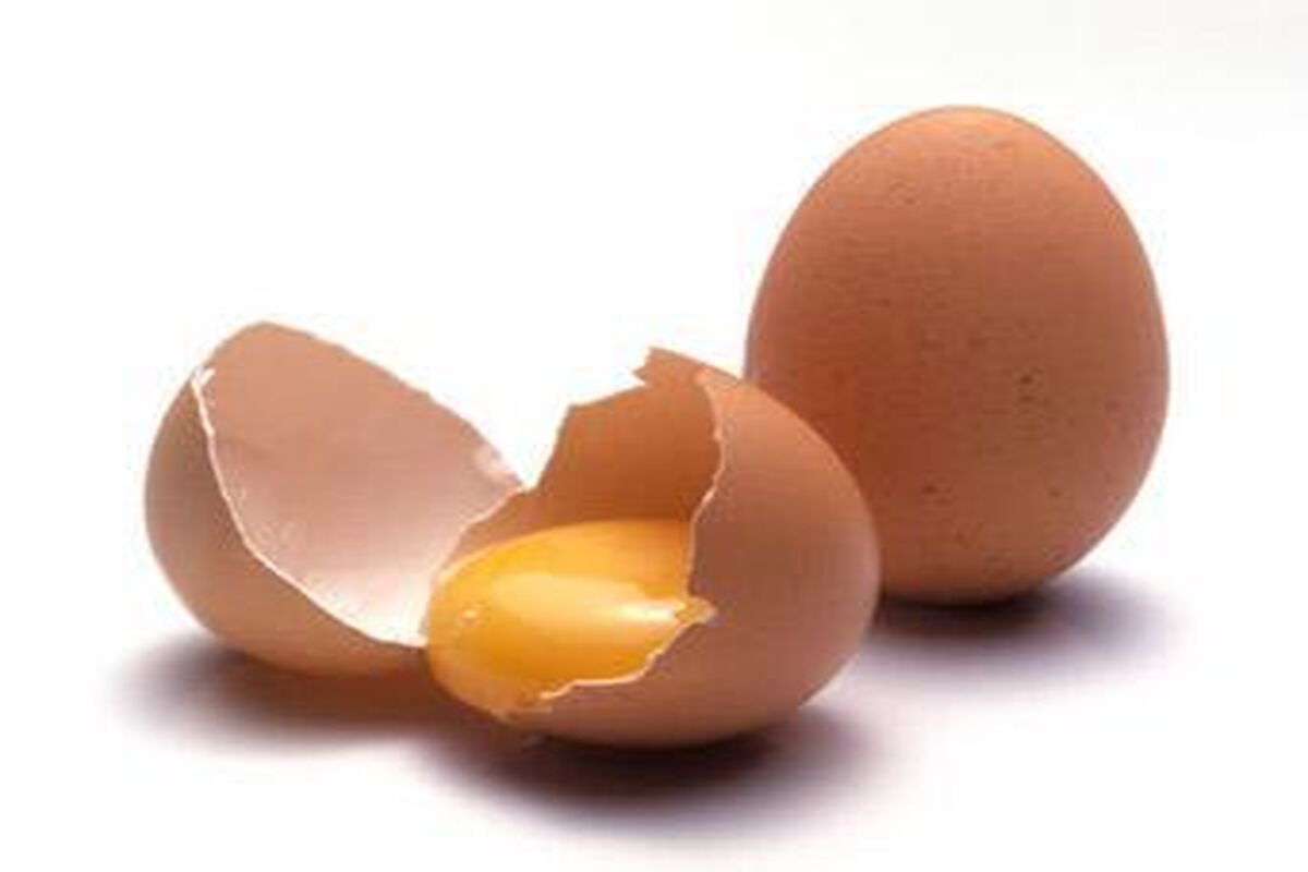 تخم مرغ دوزرده