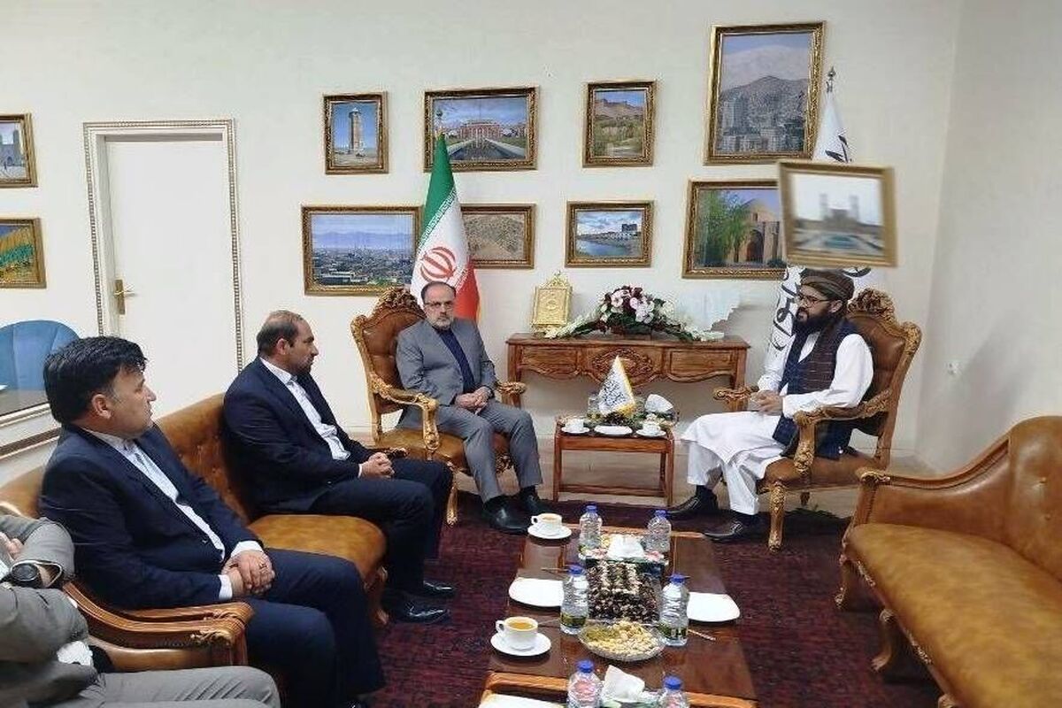 رئیس نمایندگی وزارت خارجه و سرکنسول افغانستان