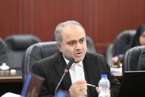 بسیج اصناف می‌تواند ضابط تخصصی نظارت بر بازار شود