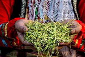 جشنواره جوکول در پیاده راه فرهنگی رشت برگزار شد