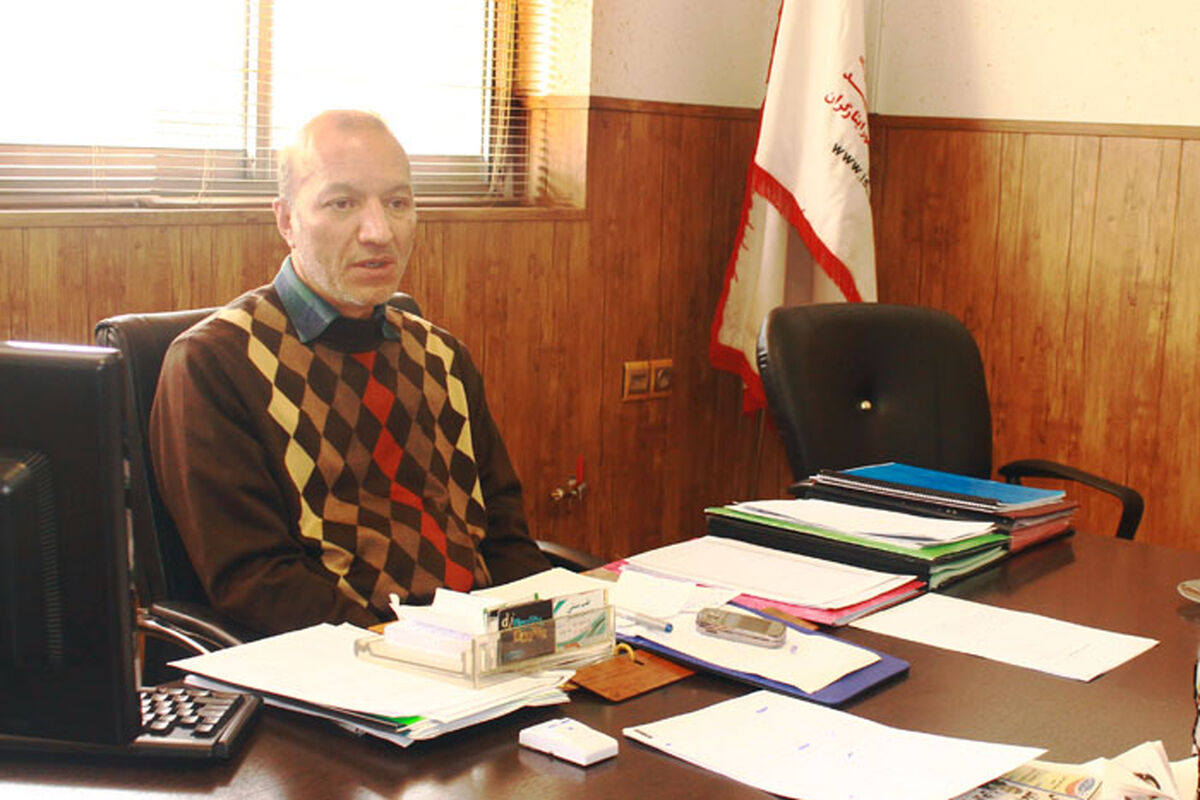 سید علی محمدی