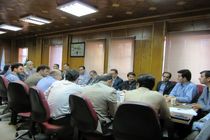 پرداخت 67 میلیارد ریال تسهیلات  در قالب طرح های اشتغال روستایی و فراگیر در رضوانشهر