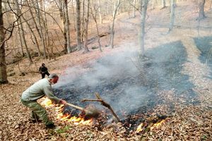 آتش جان بیش از ۱۴ هکتار از مراتع قوچان را گرفت