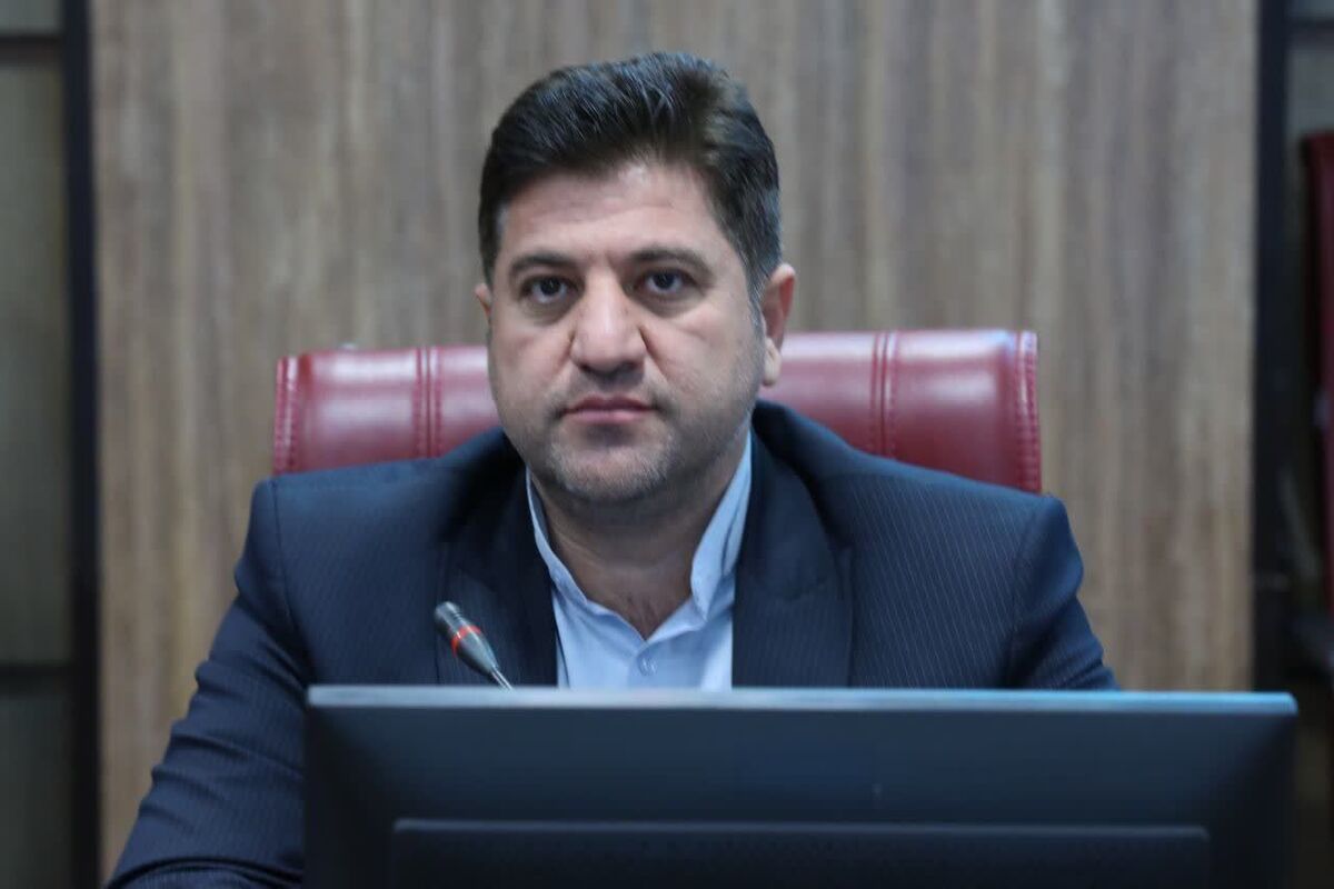 شریفی