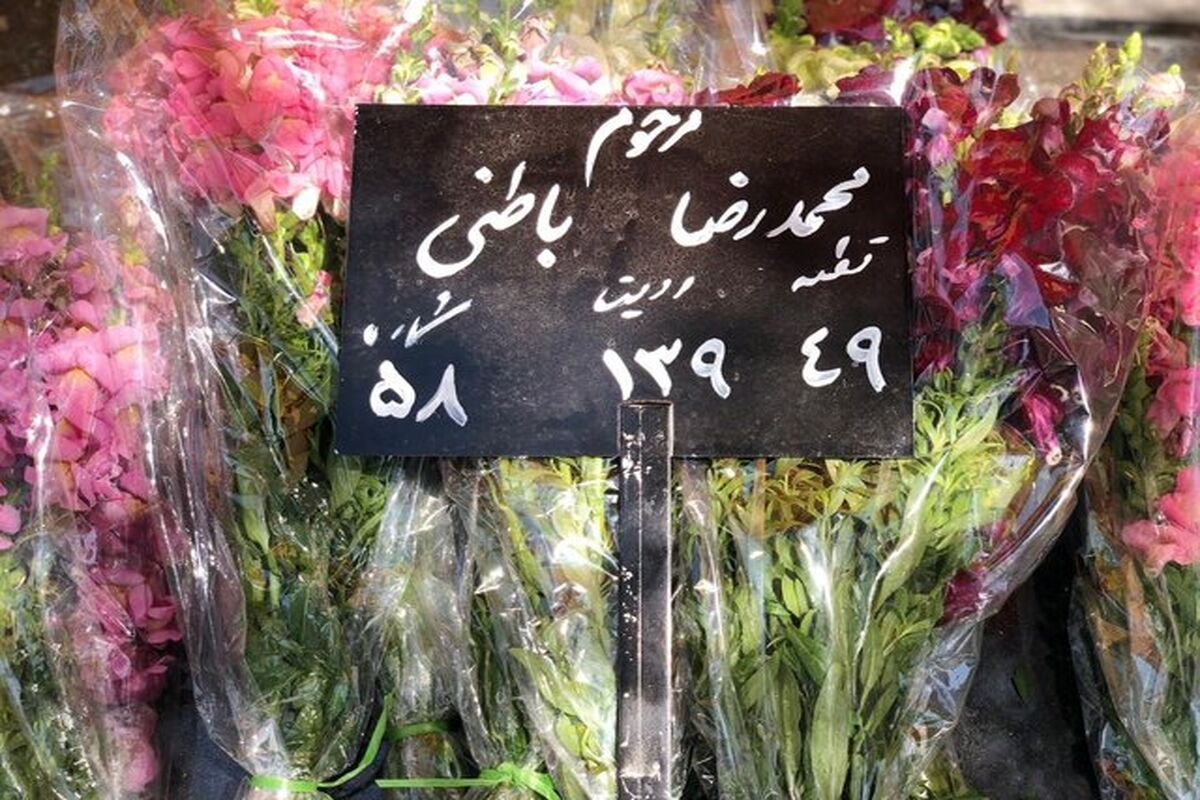 محمدرضا باطنی