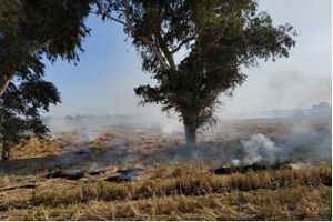 خودداری کشاورزان از سوزاندن بقایای مزارع خوزستان در فصل برداشت ضرورت دارد