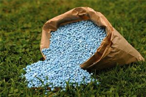 تامین کودهای مورد نیاز خراسان رضوی توسط شبکه تعاون روستایی