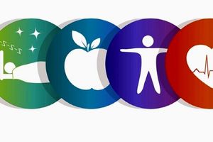 اجرای برنامه های سلامت محور با شعار «ساختن جهانی عادلانه تر و سالم تر»