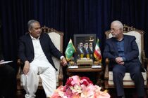 دیدار رسمی وزرای کشور ایران و پاکستان آغاز شد