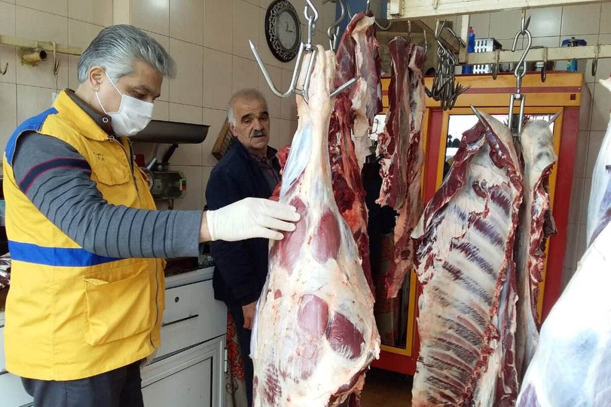 نظارت دامپزشکی اردبیل