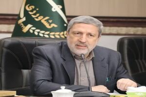 خرید کیفی گندم در دستورکار متولیان بخش کشاورزی استان قزوین