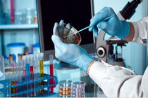 تولید پادتن جدید برای مقابله با کرونا توسط دانشمندان هلندی 