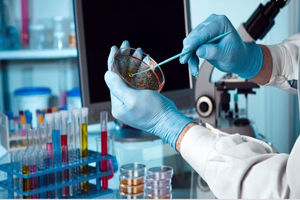 کشف معکوس کردن روند پیری با رقیق کردن پلاسمای خون