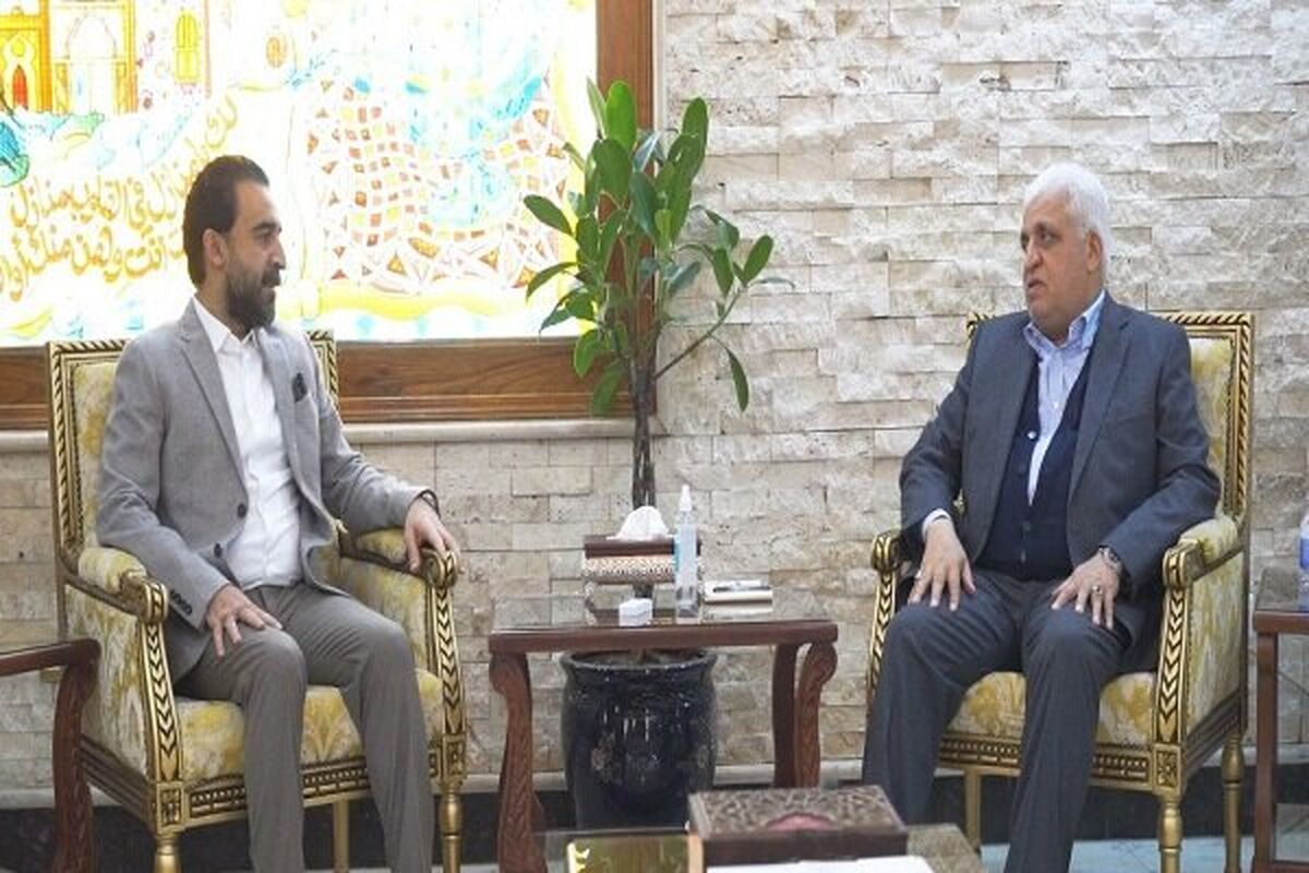 حشد شعبی
