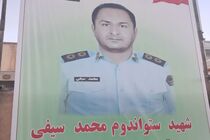 جنگ ملت است، من جا نمی‌زنم/ روایت همسر شهید محمد سیفی از آخرین روزهای زندگی‌اش