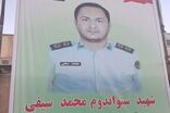جنگ ملت است، من جا نمی‌زنم/ روایت همسر شهید محمد سیفی از آخرین روزهای زندگی‌اش
