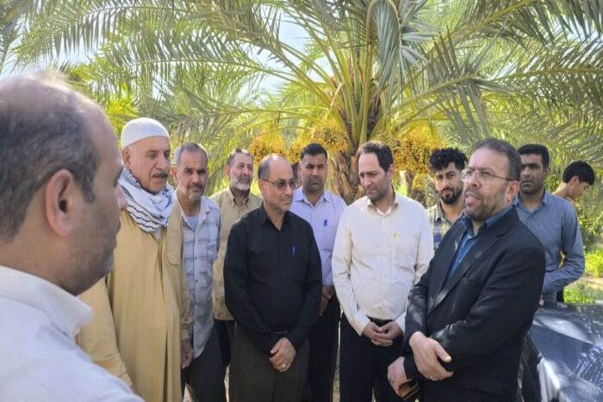 هفته دولت