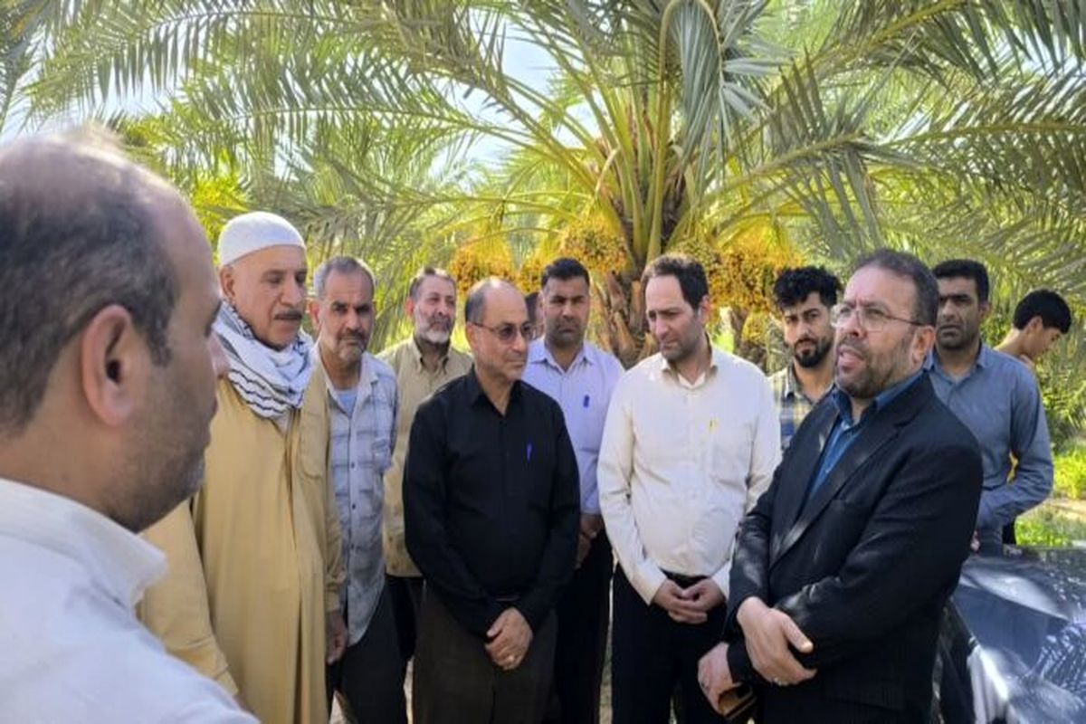 هفته دولت
