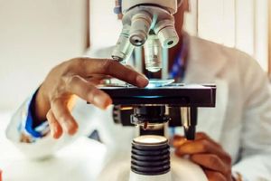 ثبت‌نام در دوره پسا دکتری تحقیقات بنیادی از فردا آغاز خواهد شد