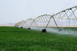 تجهیز حدود یک هزار ۲۵۰ هکتار از اراضی سیستان و بلوچستان به سیستم های آبیاری نوین
