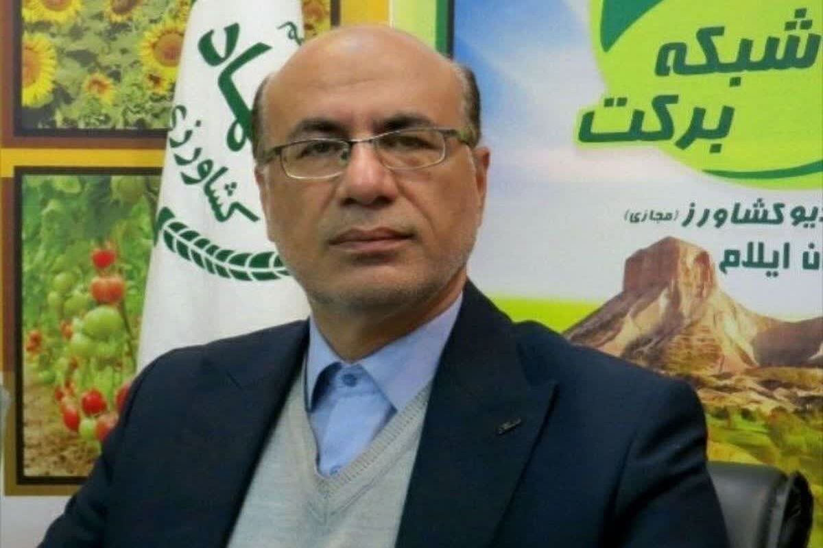 عموزاده