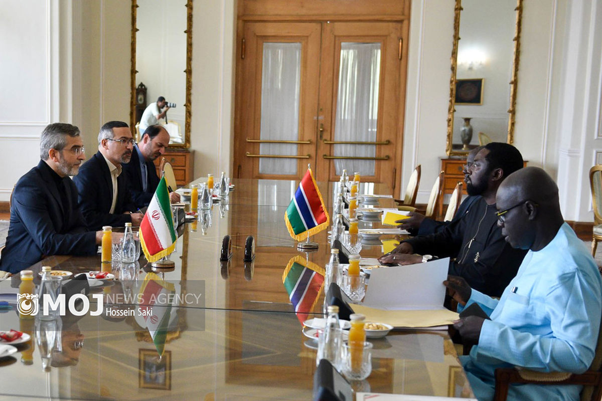 دیدارهای امروز سرپرست وزارت امور خارجه