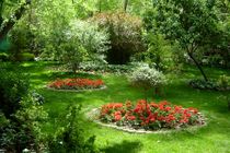 تلاش برای رویکرد علمی در مدیریت فضای سبز شهر اصفهان
