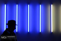 ونیز میزبان چه فیلم‌هایی می‌شود؟