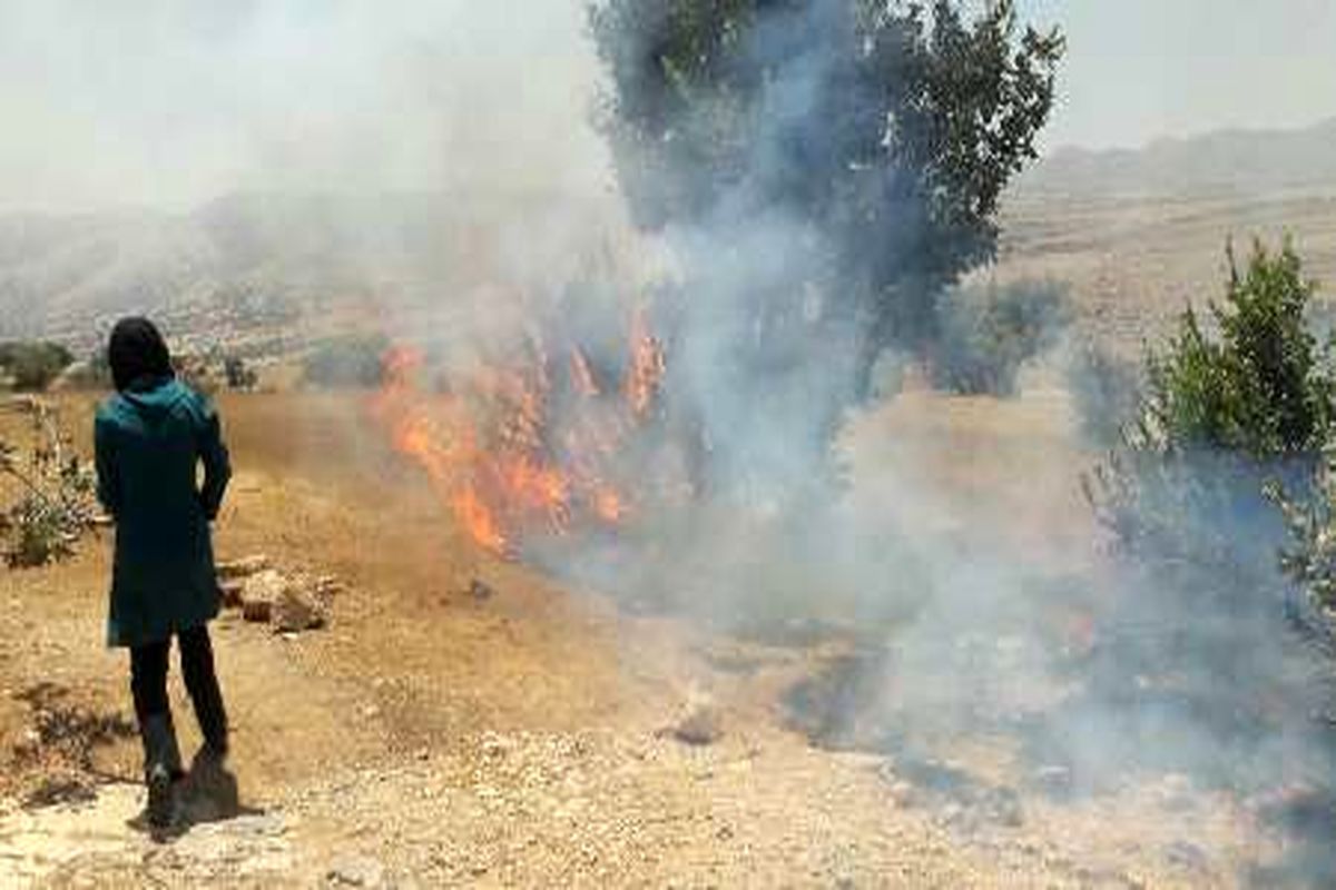  مراتع مشجر در گیلانغرب سوخت