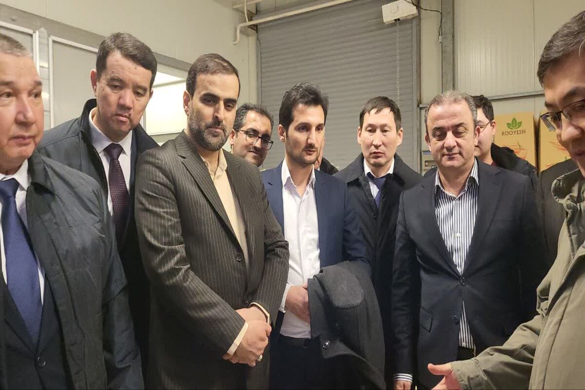 مدیرکل دفتر هماهنگی امور اقتصادی استانداری مازندران