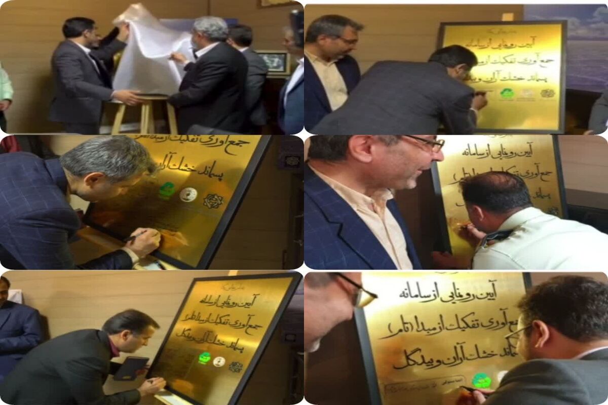 سامانه تام