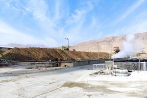 کشت قراردادی چغندر قند، درآمد کشاورزان چهارمحال و بختیاری را ارتقا داد