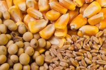 سیاست ارزی کشور باید شفاف شود