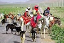 مفقود شدن کودکی خردسال از عشایر سردشت دزفول/نتایج جستجو تیم هلال احمر بی نتیجه بود 