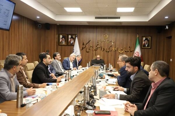 ساماندهی نیروهای شرکتی و بازنگری مشاغل در شورای توسعه مدیریت و سرمایه انسانی بررسی شد