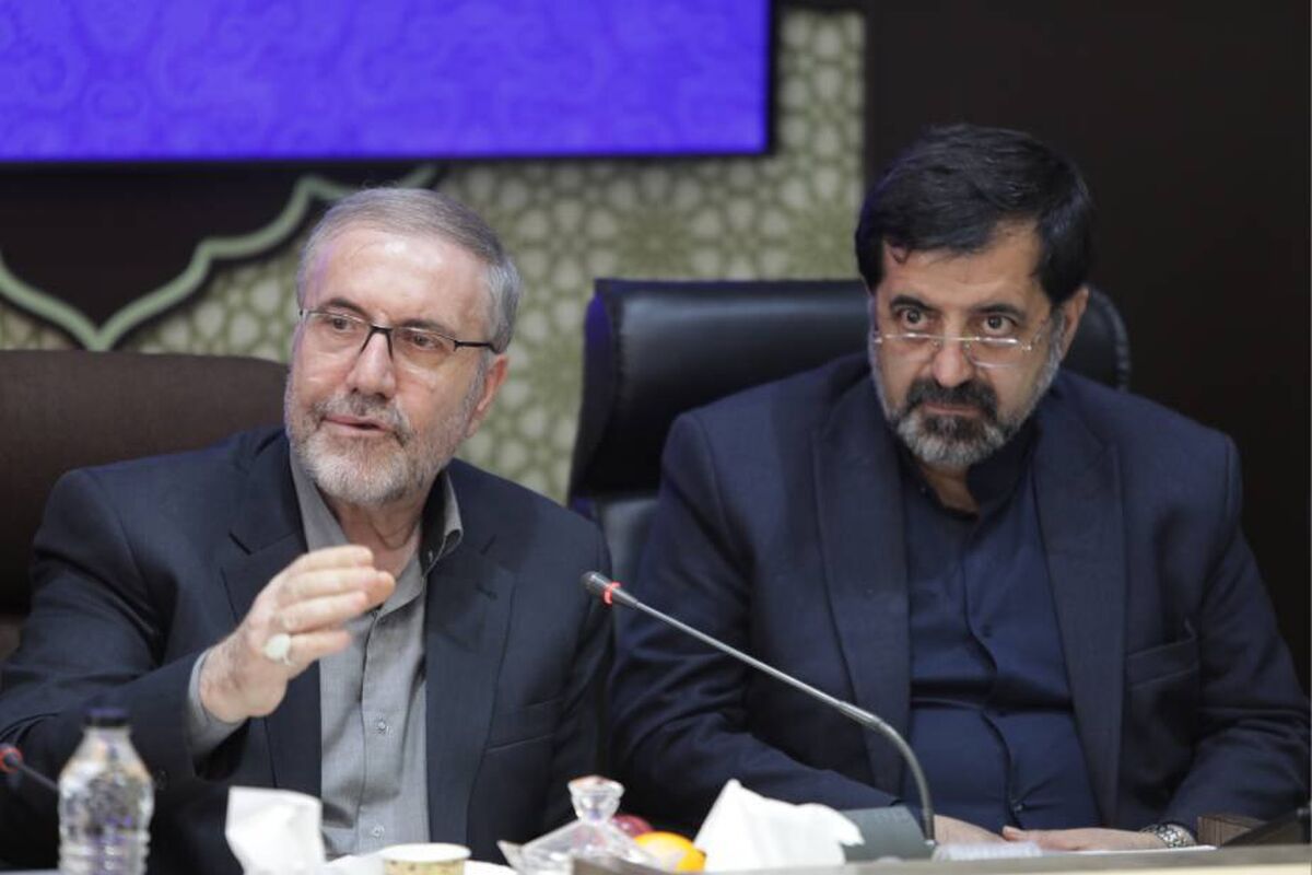 حسین ذوالفقاری