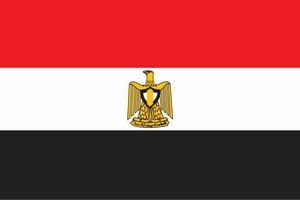 اتباع مصری بازداشت شده در ایران آزاد شدند