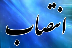 مرادی‌نیا به عنوان مدیرکل دفتر توسعه کتاب و کتابخوانی منصوب شد