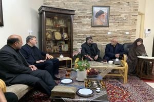 معاون رئیس جمهور به دیدار مادر شهیدان والامقام حسن و محمدباقری رفت