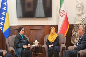 سخنگوی دولت ایران با وزیر خارجه پیشین بوسنی دیدار کرد