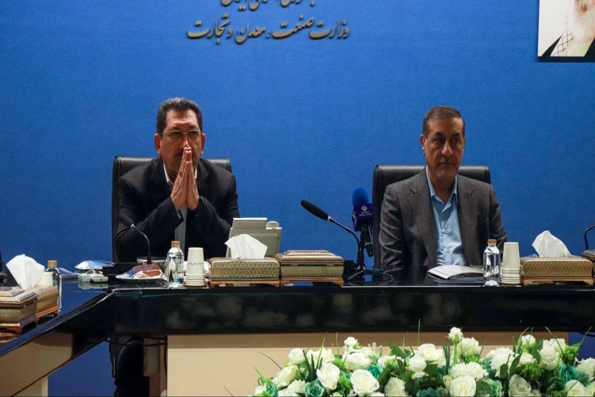 معاون اجرایی رئیس‌جمهور در شورای معاونین وزارت صمت