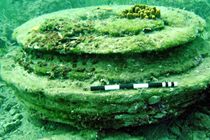 شهر میکروب ها کشف شد