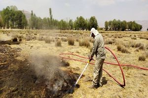 آتش‌سوزی عمقی در تالاب گندمان پیش از گسترش مهار شد