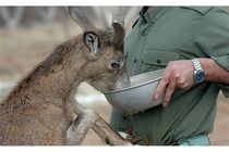 امکانات و تجهیزات موجود، جوابگوی حفاظت از محیط زیست کشور نیست