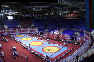 زمان برگزاری لیگ جدید کشتی به تعویق افتاد