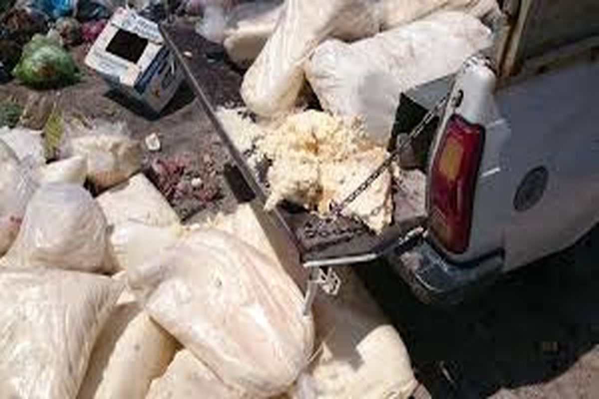 اصفهان- معدوم شدن پنیر یتزا