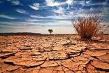 چهار دشت چهارمحال و بختیاری در وضعیت بحرانی قرار دارند