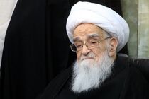 آیت الله صافی منشا برکات فراوان برای اسلام و انقلاب بود