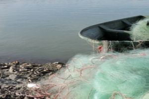 جمع آوری بیش از ۲۵۰۰ متر دام از دریاچه زاینده رود